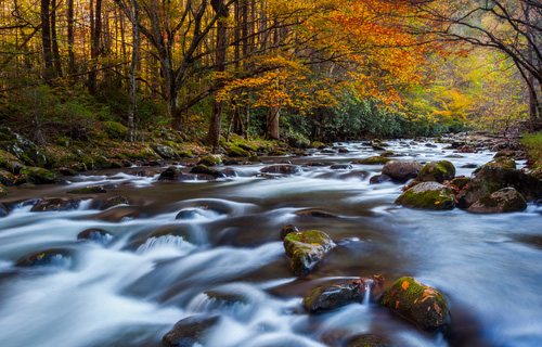 Pisgah National Forest